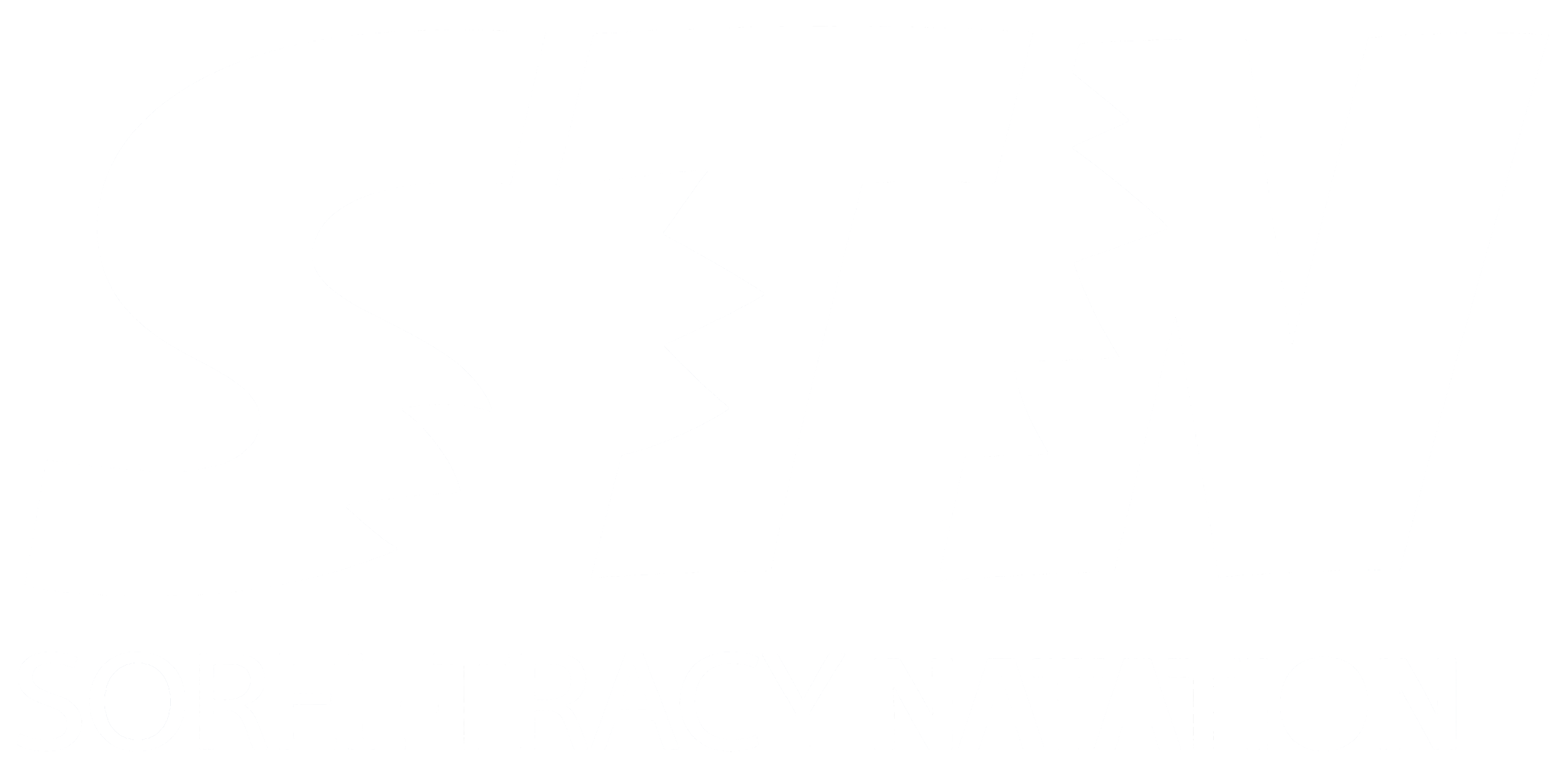 Sorel-Tracy Natation